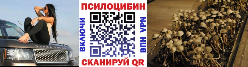 Галлюциногенные грибы Psilocybine cubensis  где найти наркотики  Красково 